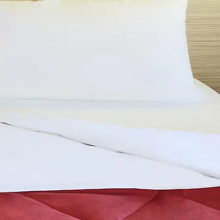 Hotel Premiere Classe Lille Sud - *