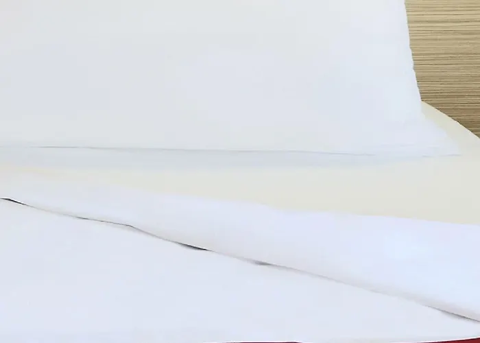 Hotel Premiere Classe Lille Sud - *